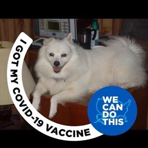 Meet your Posher, Paula